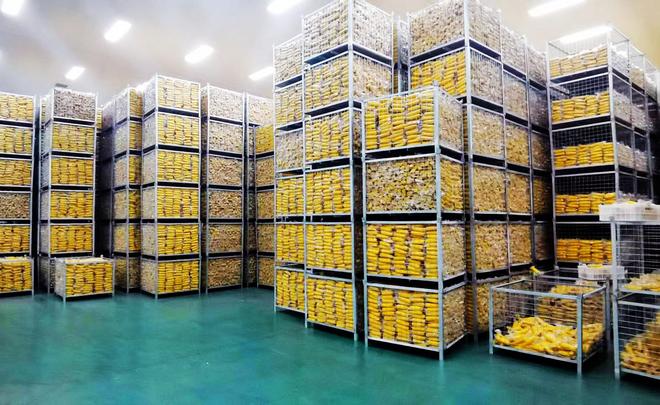 巴彦玉米：从“金色种植”到“产业蓝海”