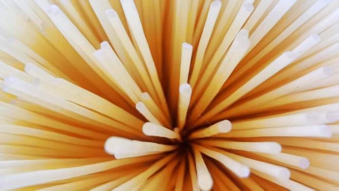 巴彦玉米：从“金色种植”到“产业蓝海”(图6)