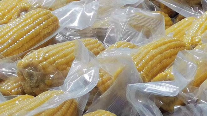 巴彦玉米：从“金色种植”到“产业蓝海”(图5)