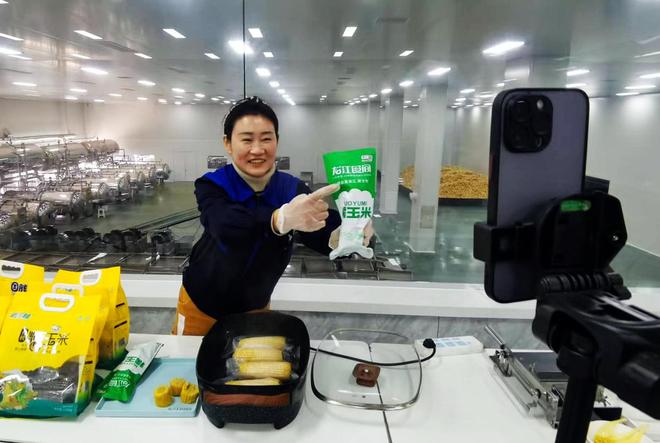 巴彦玉米：从“金色种植”到“产业蓝海”(图8)