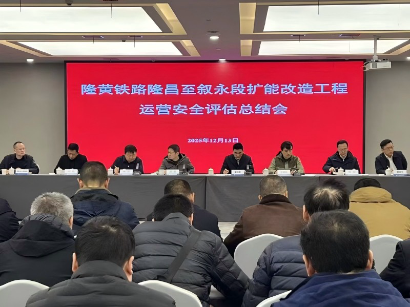 桥隧通南北·客货畅山海解码西部陆海新通道隆泸叙铁路建设亮点(图2)